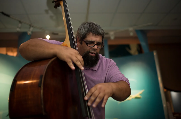 Man playing bass violin